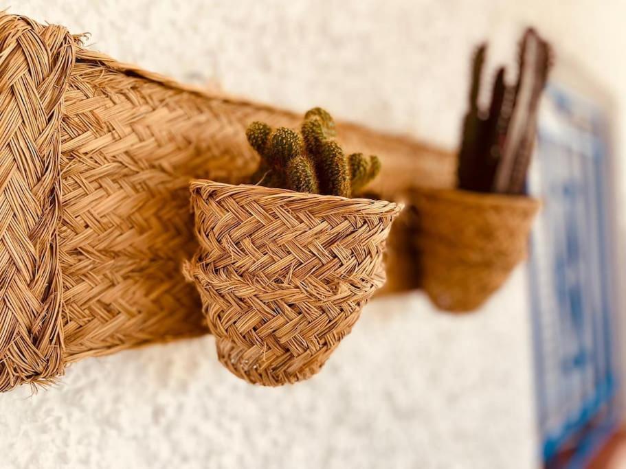 Casa Mirador - San Jose Villa Eksteriør billede